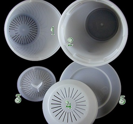 easy sprout,easy sprout sprouter,sprouts,sprouter,sprouting,sproutamo