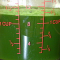 wheatgrass juice